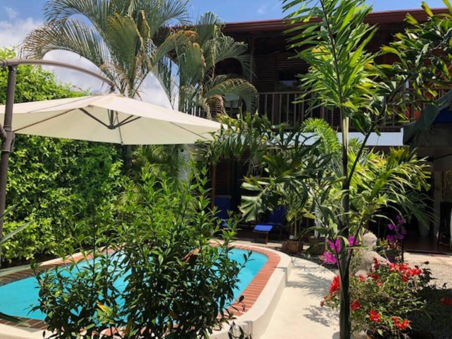 אוביטה Casa Toucan Mit Privat Pool Near Np Ballena מראה חיצוני תמונה