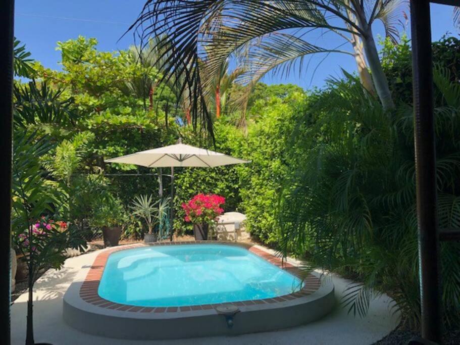 אוביטה Casa Toucan Mit Privat Pool Near Np Ballena מראה חיצוני תמונה