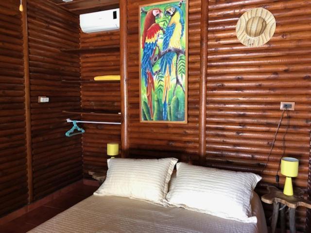 אוביטה Casa Toucan Mit Privat Pool Near Np Ballena מראה חיצוני תמונה