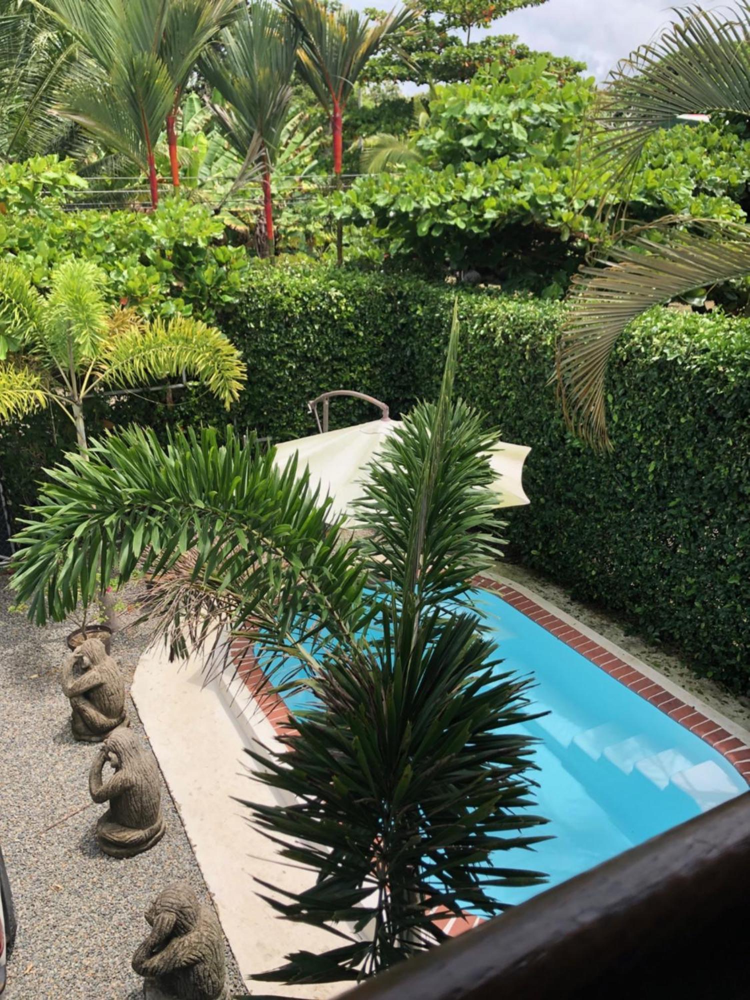 אוביטה Casa Toucan Mit Privat Pool Near Np Ballena מראה חיצוני תמונה