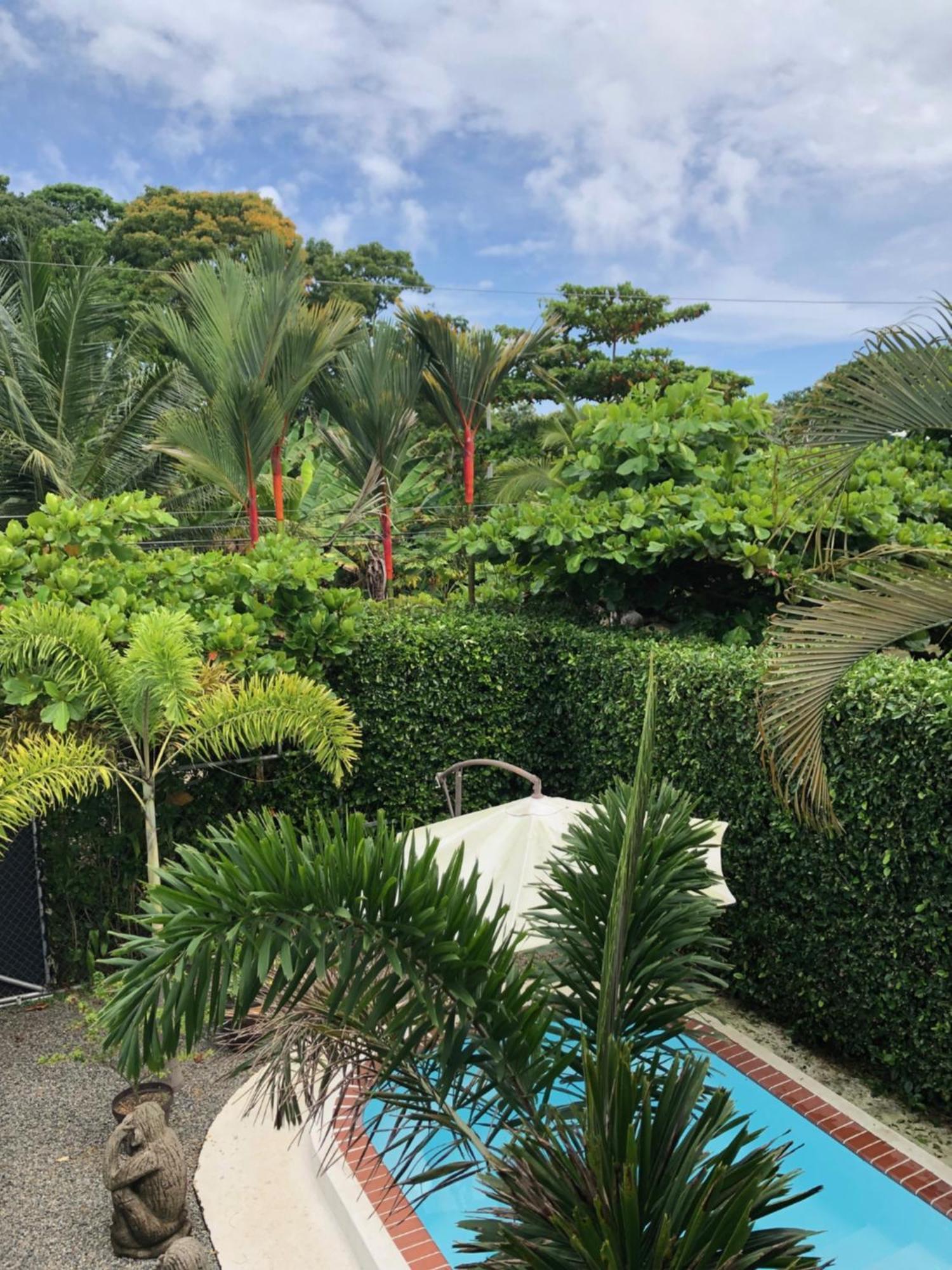 אוביטה Casa Toucan Mit Privat Pool Near Np Ballena מראה חיצוני תמונה
