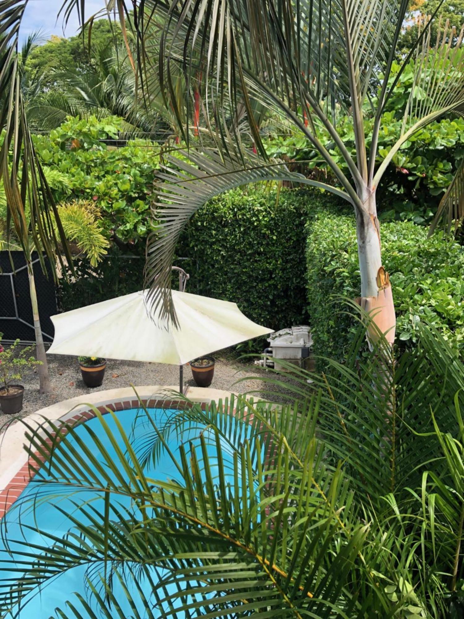 אוביטה Casa Toucan Mit Privat Pool Near Np Ballena מראה חיצוני תמונה